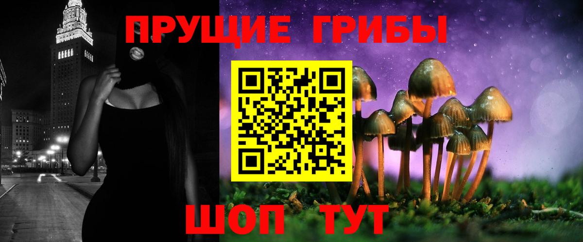 Псилоцибиновые грибы мухоморы Иваново